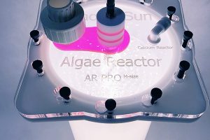 Algae reactors