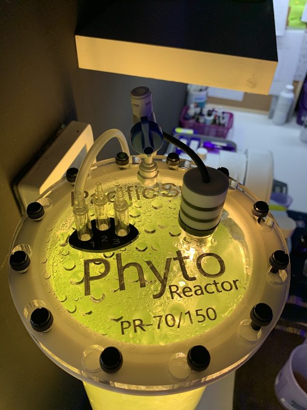 Phytoplankton reactor
